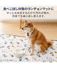 PET PARADISE スヌーピー マルチシート 《フレンズ柄》 大