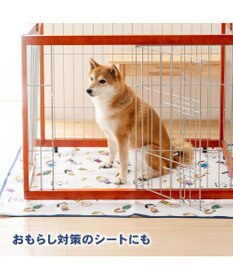 PET PARADISE スヌーピー マルチシート 《フレンズ柄》 大