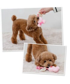 PET PARADISE ディズニー ミニーマウス 風船ロープ トイ 《ピンク》 小型犬