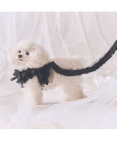 PET PARADISE cherircouture フリフリリード 《ブラック》 ４Ｓ～３Ｓ 小型犬