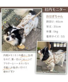 ペットパラダイス くまちゃん アウターハーネス 小型犬 / PET