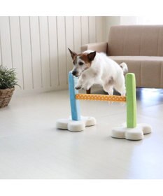 PET PARADISE 犬 トイ TOY ペットパラダイス アジリティ セット 訓練 ドッグアジリティ トレーニング