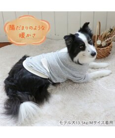 PET PARADISE ペットパラダイス ペティヒート 天竺 Tシャツ 《ニット柄》  中型犬 大型犬