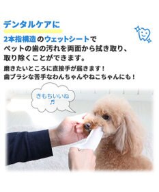 PET PARADISE マルチフィンガーシート デンタル 指 歯ブラシ シート 30枚入り