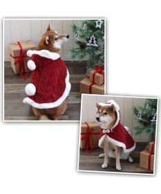 ハリユ❤️ ペットパラダイス大型犬 スムーカー ペットパラダイス | SMOOCA(スムーカ) - クリエイティブヨーコ