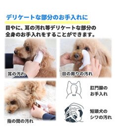 PET PARADISE マルチフィンガーシート デンタル 指 歯ブラシ シート 30枚入り