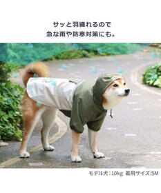 雷犬様　管理60 お散歩LEDライト 充電式 首輪用 防犯ライト 光るLED首輪ライト
