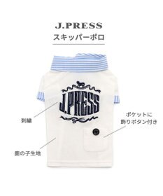 PET PARADISE J.PRESS スキッパーポロシャツ 小型犬