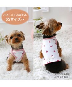 PET PARADISE ペットパラダイス はじめて タンクトップ 《いちご》 小型犬