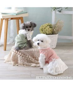 PET PARADISE ペットパラダイス ナチュラル パンツつなぎ 《小花 》 小型犬