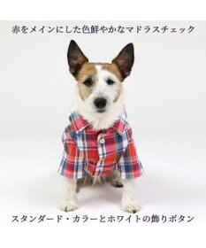 PET PARADISE 犬の服 犬 シャツ J.PRESS 【小型犬】 赤 チェック