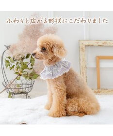 PET PARADISE ペットパラダイス チェック柄 スタイ 《パープル》 小型犬