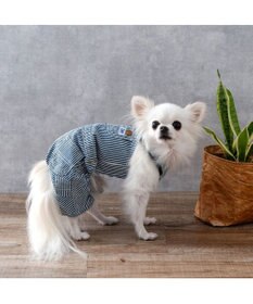 PET PARADISE Lee ヒッコリー オーバーオール  小型犬