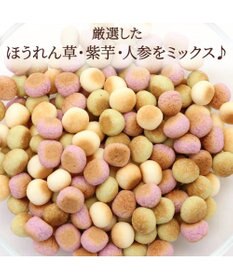 PET PARADISE 野菜ミックス ボーロ 160g   国産 大袋