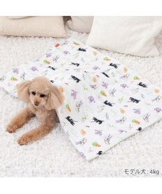 PET PARADISE リサとガスパール もちっと クール ブランケット