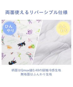 PET PARADISE リサとガスパール もちっと クール ブランケット
