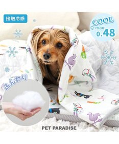 PET PARADISE リサとガスパール もちっと クール ブランケット