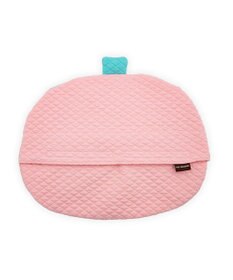 PET PARADISE ペットパラダイス クール枕 《苺》