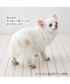 PET PARADISE ペットパラダイス makokoro スリット 靴下 《ボーダー》 ３Ｓ 小型犬