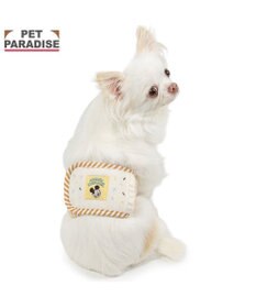 PET PARADISE ディズニー ミッキーマウス マナーベルト 《アイス柄》 小型犬