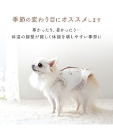PET PARADISE ペットパラダイス サーモキープ タンクトップ 《わんさんらぶ》 超小型犬 小型犬
