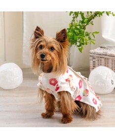 PET PARADISE ペットパラダイス 甚平《梅てまり柄》　小型犬