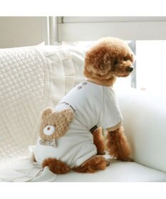 PET PARADISE ペットパラダイス くまちゃん サーモキープ ロンパース 小型犬
