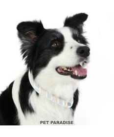 PET PARADISE クールリング 犬 クールネック ひんやり 28℃クールリング 【Ｍ】 リフレクター 水色 ベージュ 反射材付き