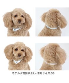PET PARADISE ペットパラダイス 28℃ クールリング 【ＳＳ】 《 水色 / ベージュ》
