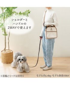 PET PARADISE ペットパラダイス くまちゃん 帆布 お散歩バッグ