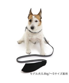 PET PARADISE 両面反射リード ブラック 120cm【SS~S】