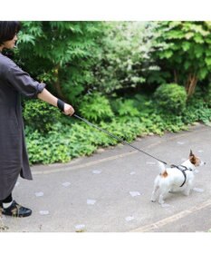 PET PARADISE 両面反射リード ブラック 120cm【ＳＳ~Ｓ】