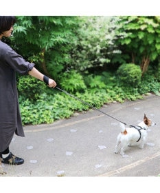 PET PARADISE 両面反射リード ブラック 120cm【SS~S】