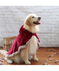 PET PARADISE ペットパラダイス ダッフルポンチョ 《レッド》 中型犬 大型犬