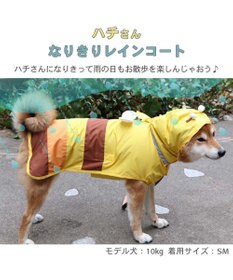 PET PARADISE ペットパラダイス レインコート 《蜂》中型犬 大型犬