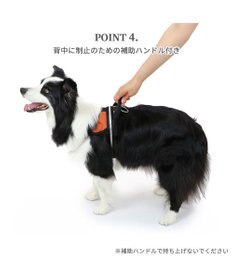 PET PARADISE ヘッドインハーネス 【Ｌ】 オレンジ / ブルー  【大型犬】