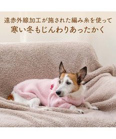 PET PARADISE ペットパラダイス ぬくふわニット 《苺》 小型犬