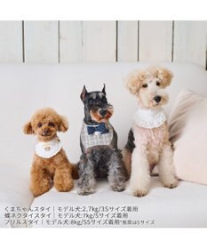 PET PARADISE ペットパラダイス 蝶ネクタイ スタイ 《チェック柄》 小型犬