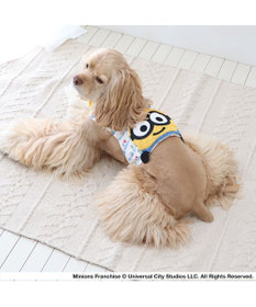 PET PARADISE ミニオン ボブ  クールベスト 中型犬