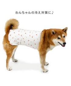 PET PARADISE ペットパラダイス ペティヒート 天竺 腹巻 《いちご柄》 中型犬