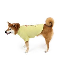 PET PARADISE ペットパラダイス Mai Kuraki　LOVE  ペットTシャツ 《イエロー》 中型犬