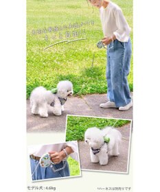 PET PARADISE ディズニー トイ・ストーリー 伸縮リード 《雲柄》