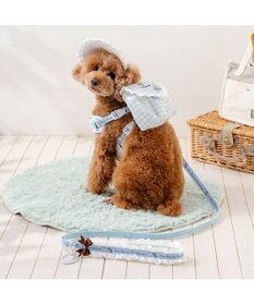 PET PARADISE ディズニー アリス フリルリード ４Ｓ～３Ｓ