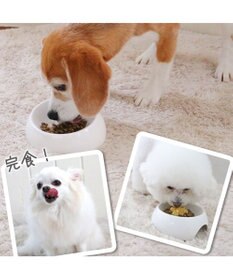 PET PARADISE リアルフード パウチスープ バラエティパック 《砂肝&パンプキン/ レバー&キャロット/ チキン&ブロッコリー》 国産