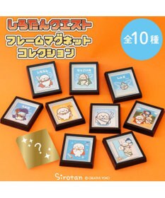 Mother garden しろたん クエスト フレームマグネットコレクション 10個全部セット（シークレット1種含む）
