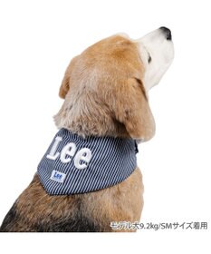 PET PARADISE Lee ヒッコリー ロゴ クールバンダナ 中型犬 大型犬