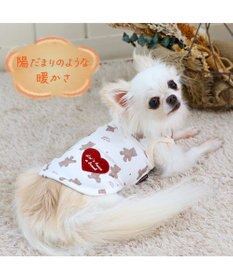 PET PARADISE ペットパラダイス くま  ペティヒート タンクトップ  ハート柄 小型犬
