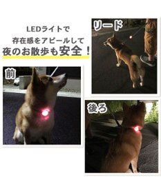 PET PARADISE 犬 散歩 夜 光る 苺柄 ＬＥＤ お散歩ライト