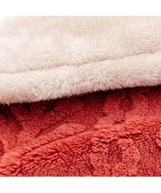 PET PARADISE ペットパラダイス 遠赤外線 アランボア マット