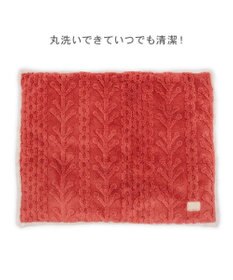 PET PARADISE ペットパラダイス 遠赤外線 アランボア マット